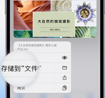 涵江apple维修中心分享iPhone文件应用中存储和找到下载文件