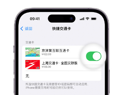 涵江apple维修点分享iPhone上更换Apple Pay快捷交通卡手绘卡面 