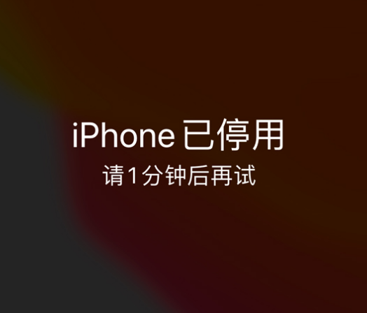 涵江苹果手机维修分享:iPhone 显示“不可用”或“已停用”怎么办？还能保留数据吗？ 