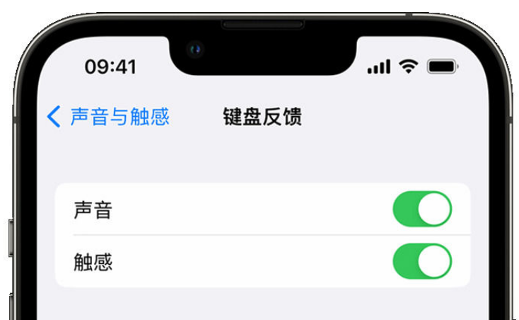 涵江苹果手机维修分享iPhone 14触感键盘使用方法 