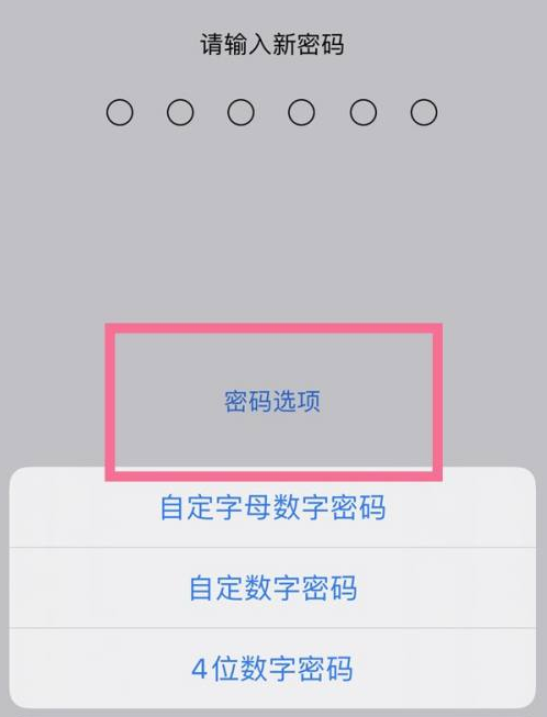 涵江苹果14维修分享iPhone 14plus设置密码的方法 