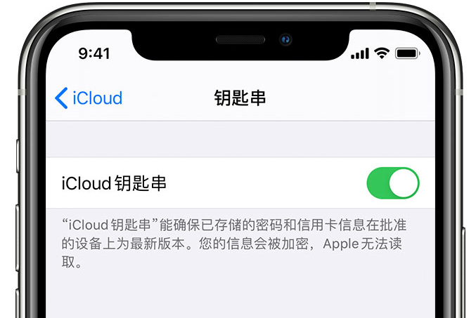 涵江苹果手机维修分享在 iPhone 上开启 iCloud 钥匙串之后会储存哪些信息 