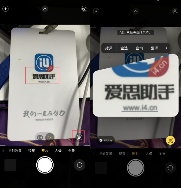 涵江苹果手机维修分享升级iOS 16后如何通过相机翻译文本 