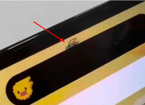 涵江苹果14维修分享iPhone 14 Pro Max灵动岛怎么养宠物 