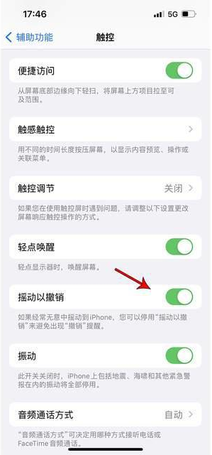 涵江苹果手机维修分享iPhone手机如何设置摇一摇删除文字 