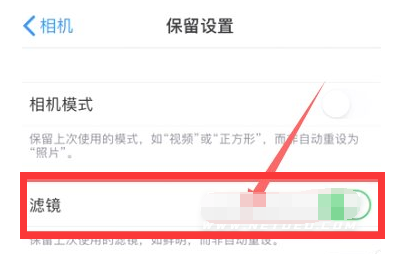 涵江苹果13维修分享iPhone13拍照有绿点是怎么回事 