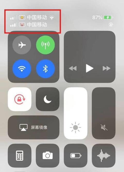 涵江苹果手机维修分享为 iPhone 12 双卡设置标签 