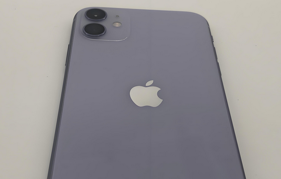 涵江苹果11系统维修分享iPhone11手机系统崩溃无法开机如何解决